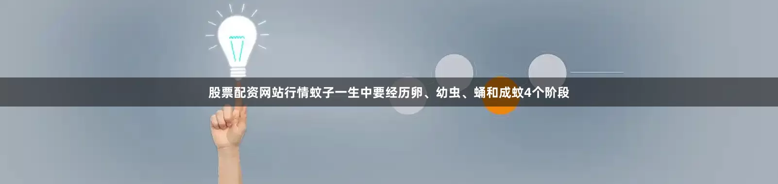 股票配资网站行情蚊子一生中要经历卵、幼虫、蛹和成蚊4个阶段