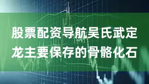 股票配资导航吴氏武定龙主要保存的骨骼化石